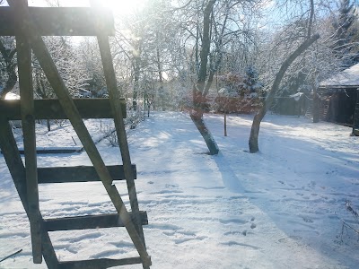 Photos of Baidarkiemis