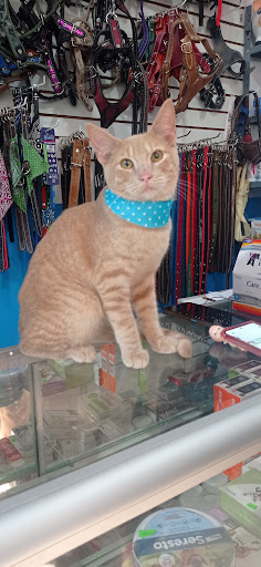 Veterinaria Mi Amigo Fiel