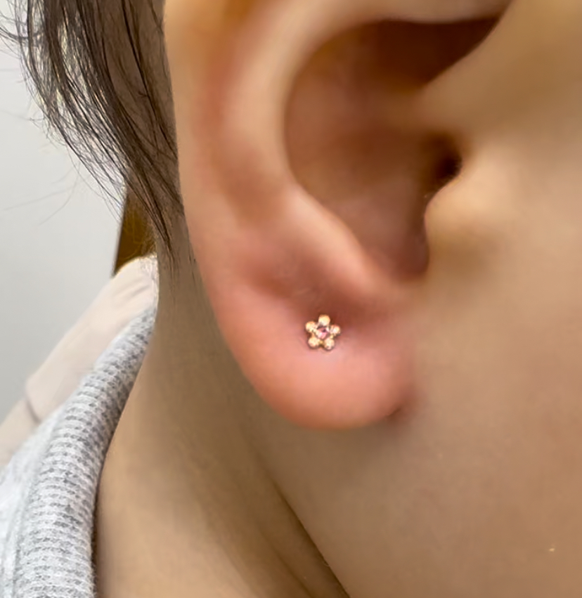 Dr. David Amaneddine - صورة 4