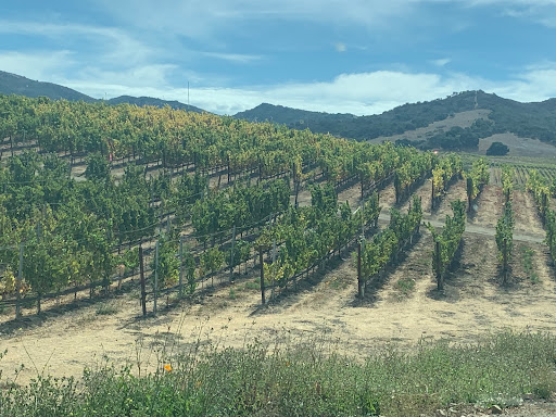 Solvang Wine Tours Gallery - United States