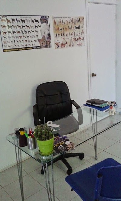 Photos of GABRIELA HIGH VETERINARY CLINIC