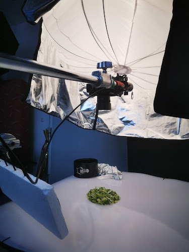 kielphoto Oliver Staack photo