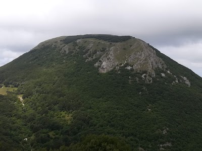 Monte Faldobono