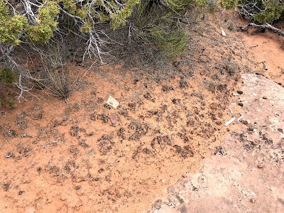 Monument Canyon View