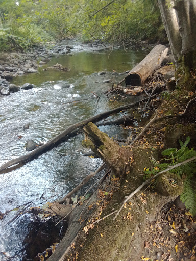 Prospector Lane - Visual