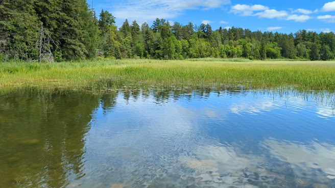 Mississippi River Headwaters by null