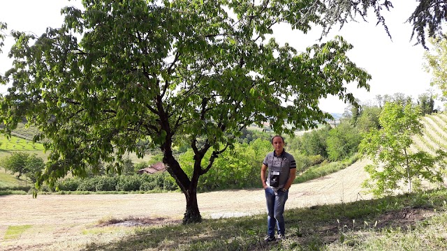 Gaudio - Bricco Mondalino