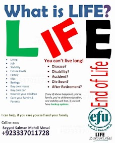 Efu Life Assurance Ltd, Karachi Indus Branch