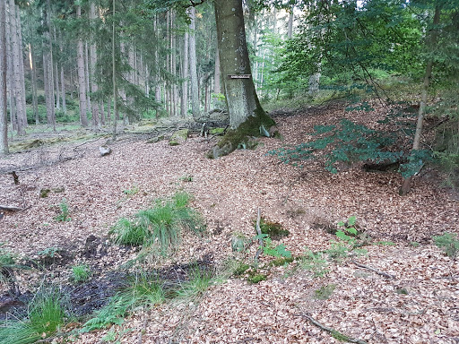 Rabengrund - Visual