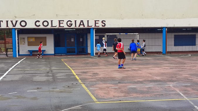 Polideportivo Colegiales, Author: Claudio D'Amico