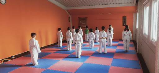 Gym Nisseishi Illescas - Thumbnail