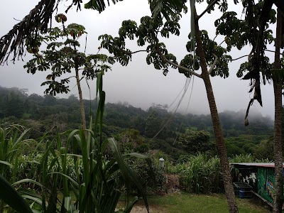 Photos of El Trapiche Tour