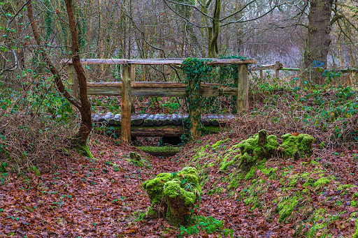Pound Wood Nature Reserve Logo