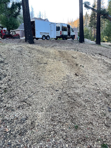 Stump 'n' Grind