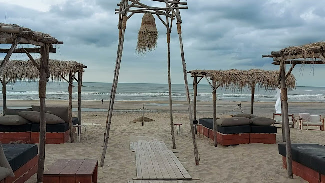 http://www.beachnoordwijk.nl/
