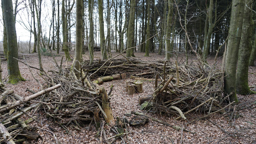 Gemeindekindergarten Freiensteinau - Thumbnail