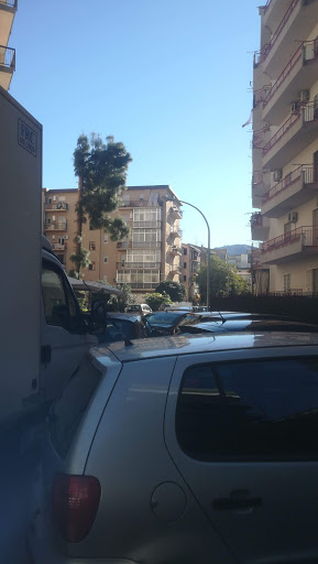 Trilli di Bertolino Tiziana - Thumbnail