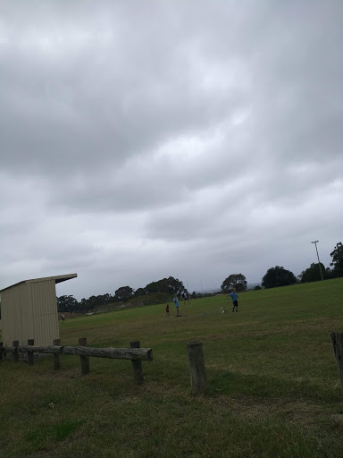 Royal Artie Smith Oval - Thumbnail