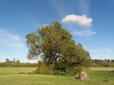 Photos of Sipa p&auml;rn