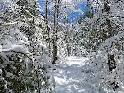 Park Station Recreation Area