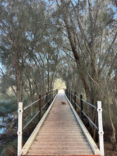 Ayres Bushland