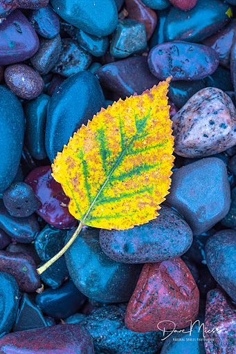 Natural Spaces Photography - Thumbnail