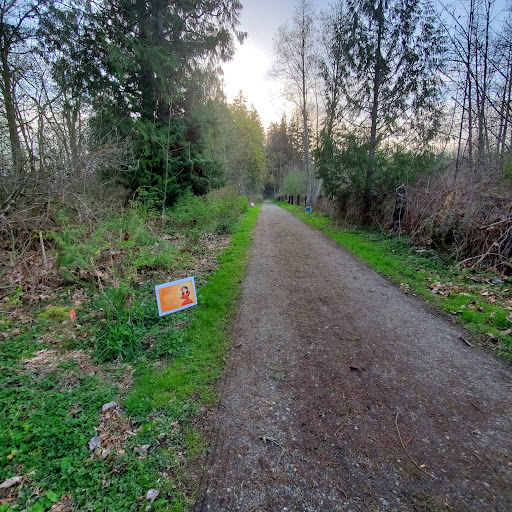 Smith Woods - Visual