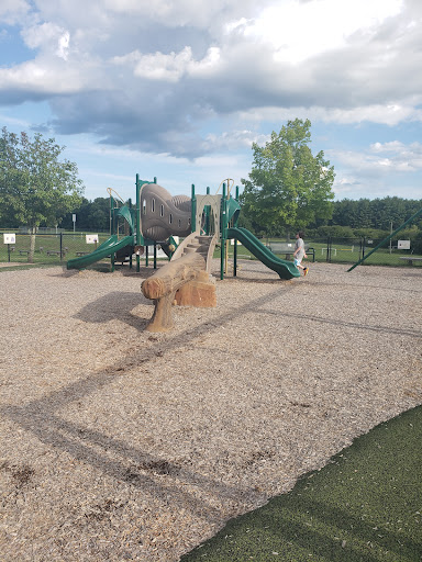 HOPS Playground - Visual