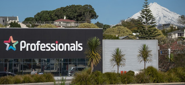 Professionals Real Estate