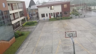 school