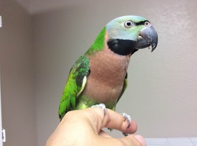 Photos of All Pets Clinic