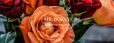 Mr. Bokay