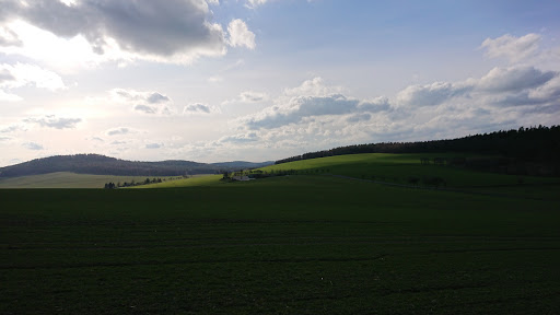 Drachenwiese Kamenz - Thumbnail