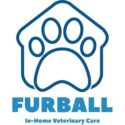 Furball Pet Care