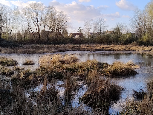 Gehrensee - Thumbnail