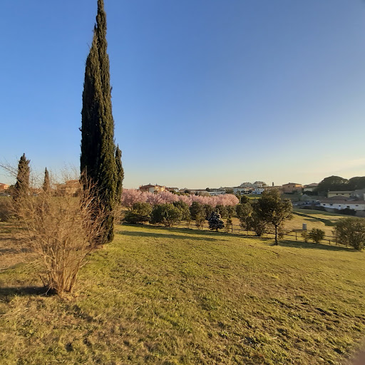 Piazza Ivan Iori - Thumbnail