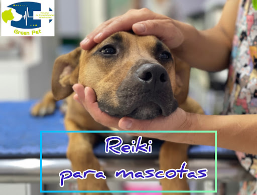 HOSPITAL DE ESPECIALIDADES VETERINARIAS GREEN PET