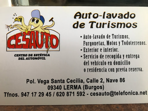 Cesauto - Visual