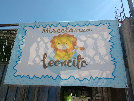 Miscelánea Leoncito - Thumbnail