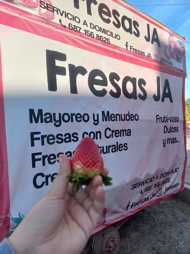 FRESAS JA - Visual