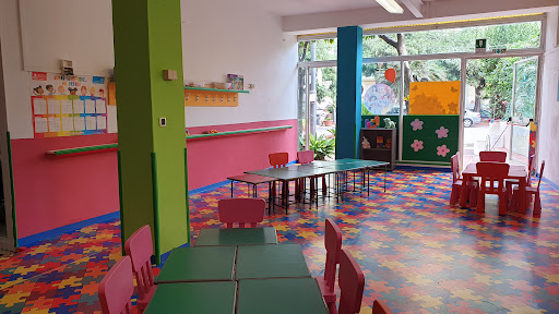 Lyceum Linguistico Scuola Infanzia E Primaria - Thumbnail