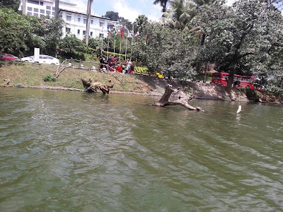 Photos of Joy Boat Service
