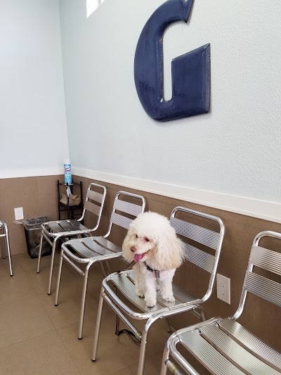 veterinary-care