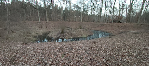 Vespersuhl