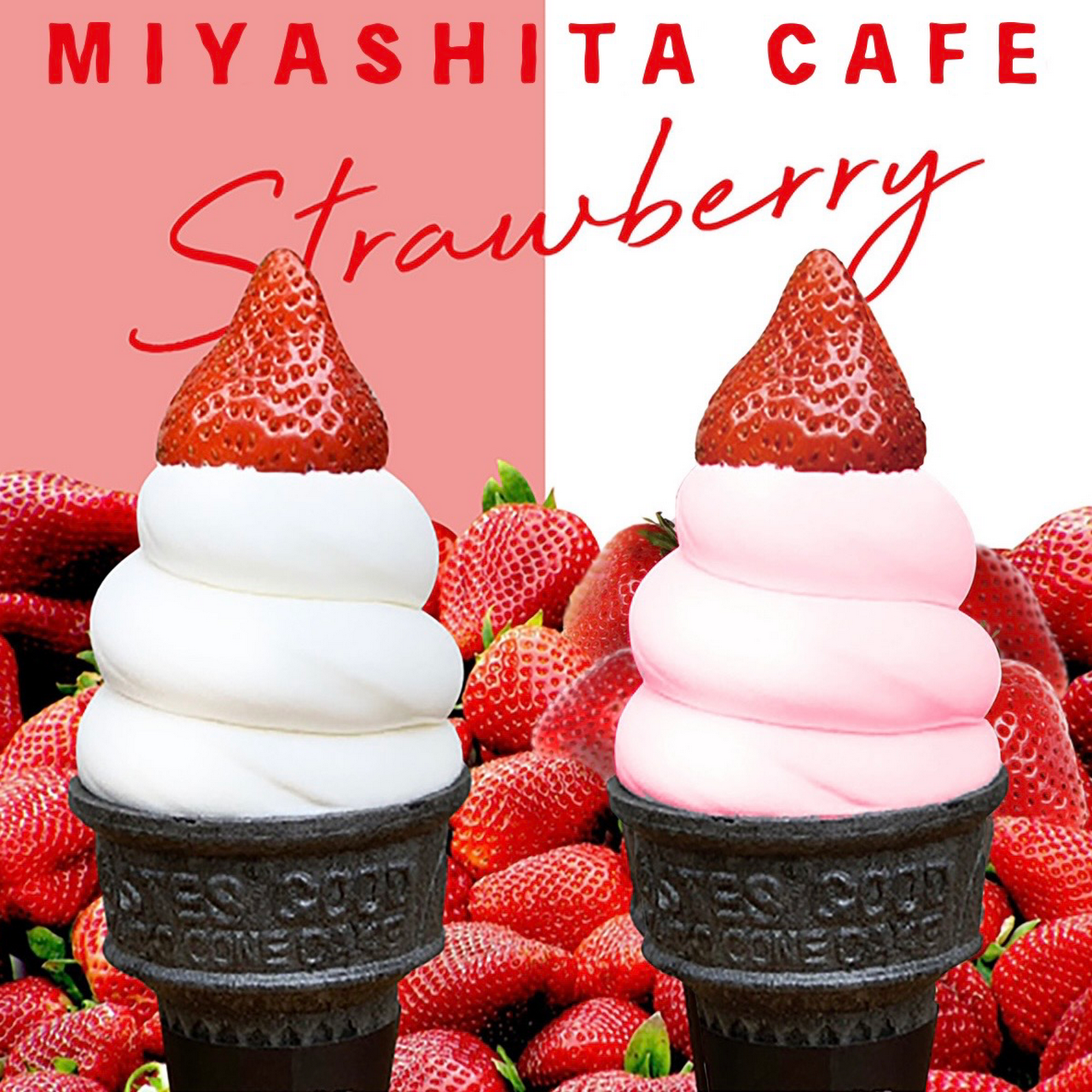 ミヤシタカフェ ソフトクリーム ソフトクリームカフェ 喫茶