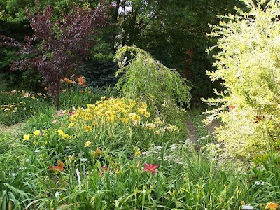 New Every Morning Daylily Gardens