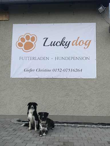 Lucky dog Futterladen - Thumbnail