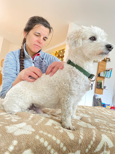 Osteopathie für Hunde & Kleintiere Dr. med. vet. Nina Heeß - Thumbnail