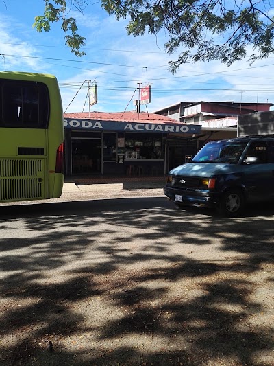 Photos of Soda Acuario