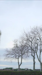 Photo n°11 de Le Special à Saint-Denis (Restauration rapide)